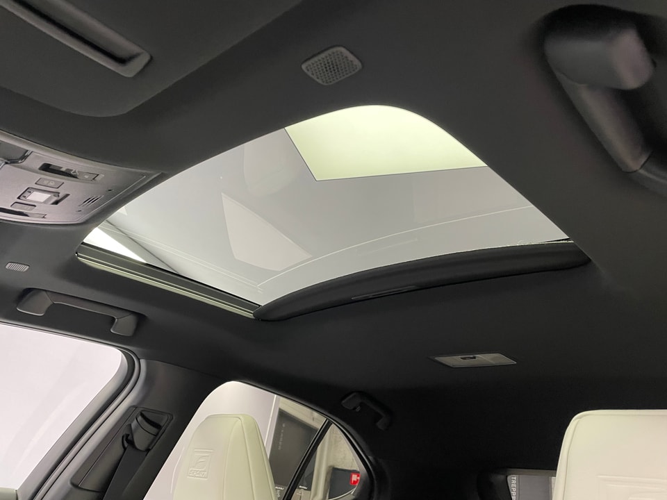 UX 300h F Sport E-FOUR Voll-Hybrid