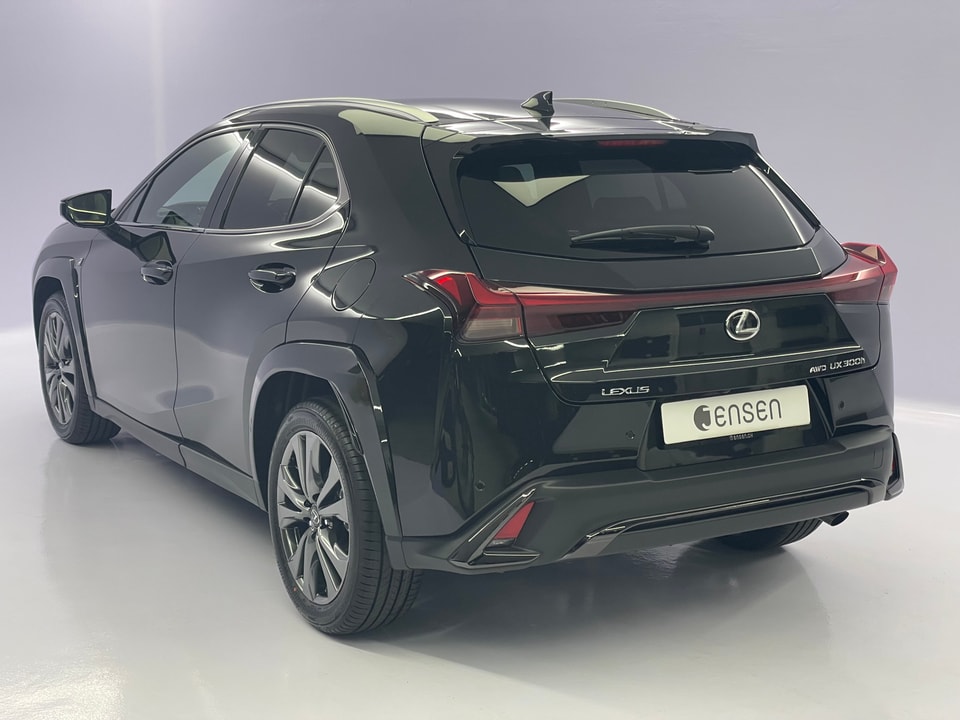 UX 300h F Sport E-FOUR Voll-Hybrid