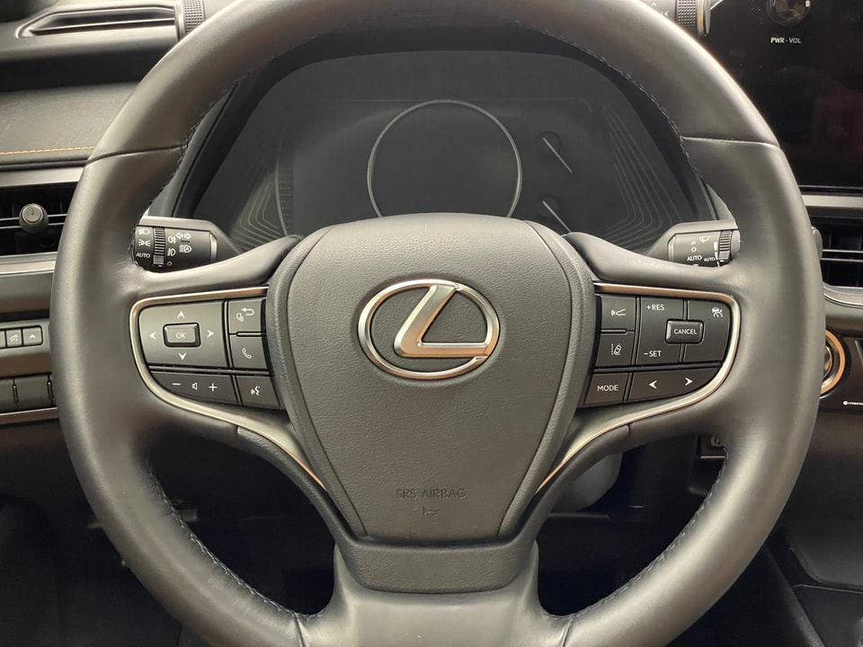 UX 300h F Sport E-FOUR Voll-Hybrid