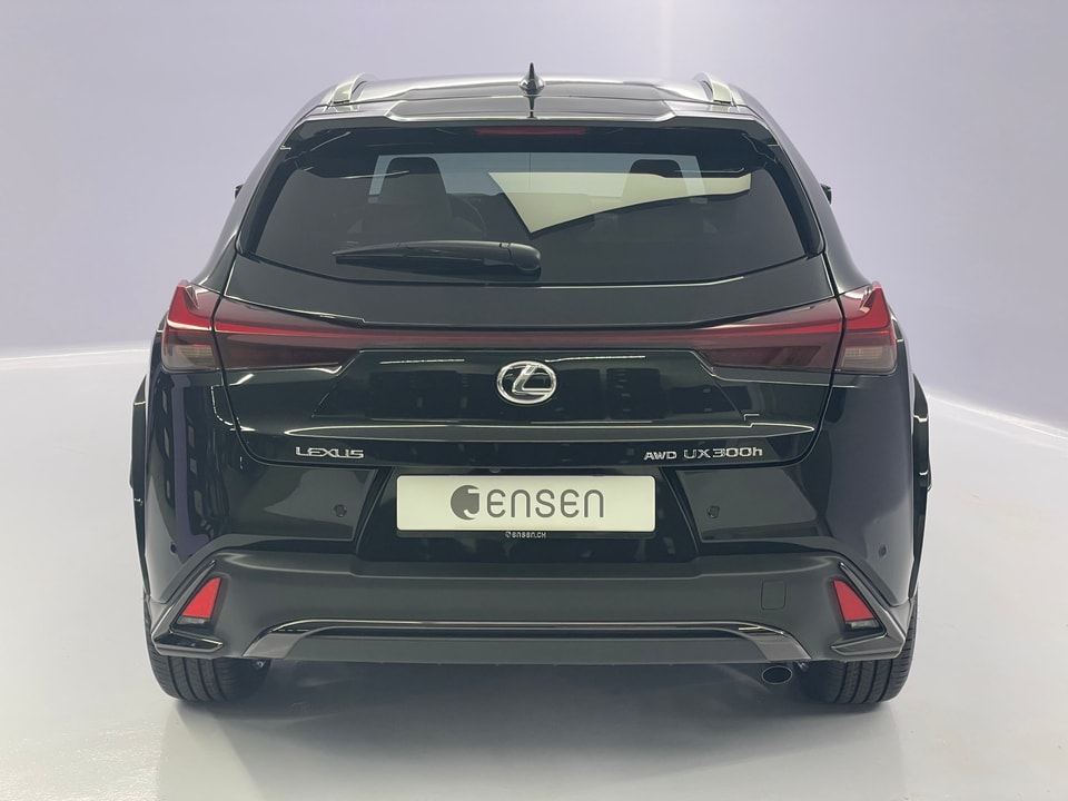 UX 300h F Sport E-FOUR Voll-Hybrid