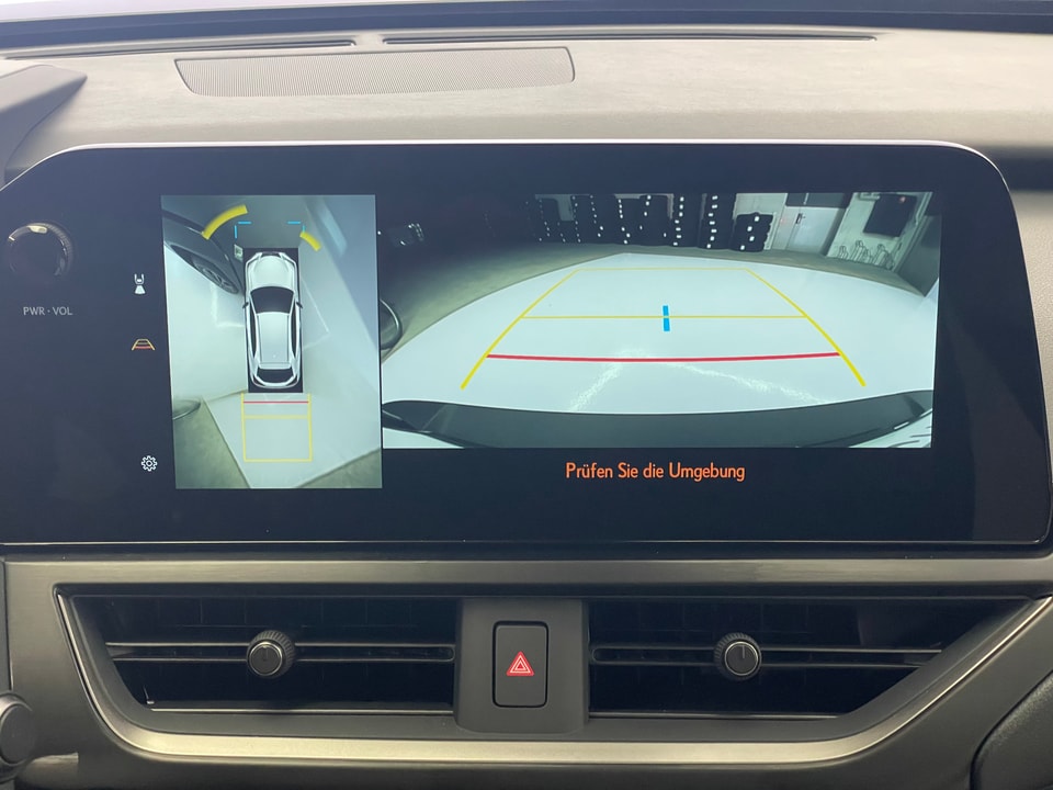 UX 300h F Sport E-FOUR Voll-Hybrid