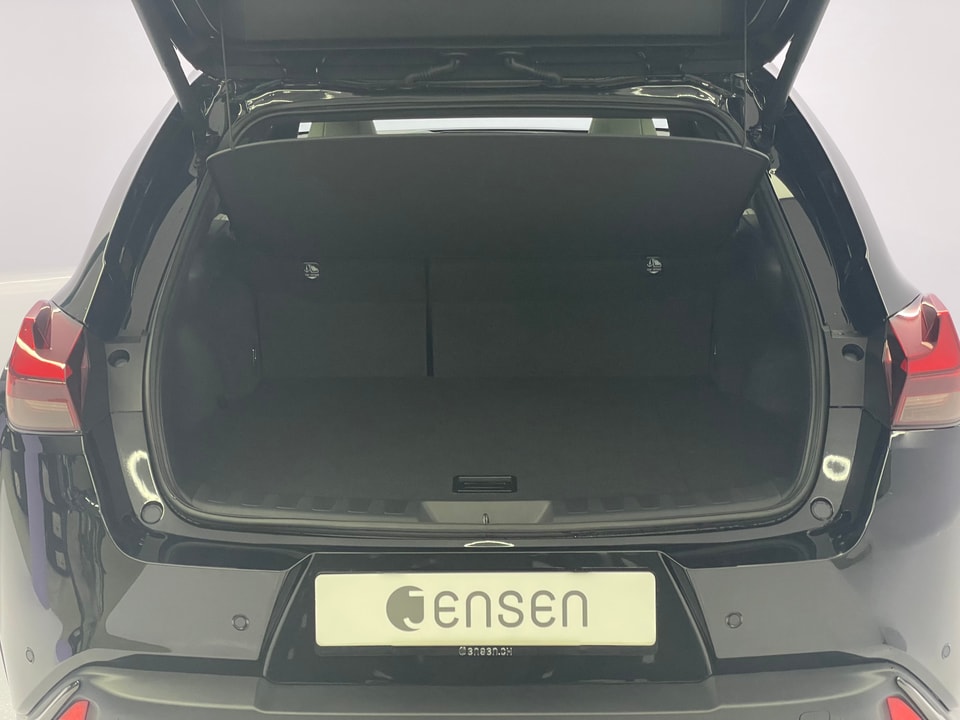 UX 300h F Sport E-FOUR Voll-Hybrid