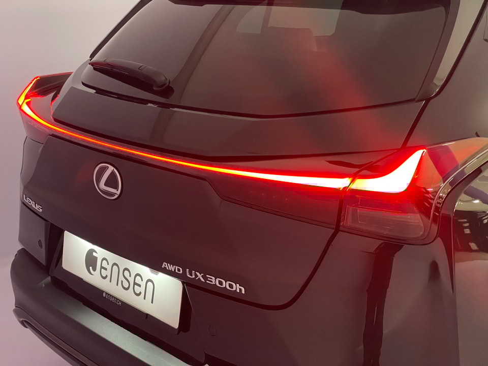 UX 300h F Sport E-FOUR Voll-Hybrid