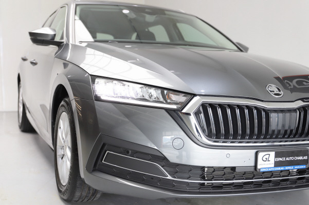 Image SKODA OCTAVIA Octavia 1.5 TSI mHEV Amb.