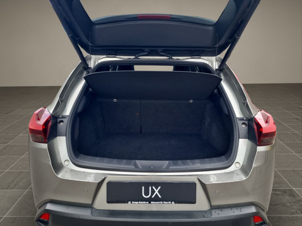 LEXUS UX 300e excellence elektrisch-image-14