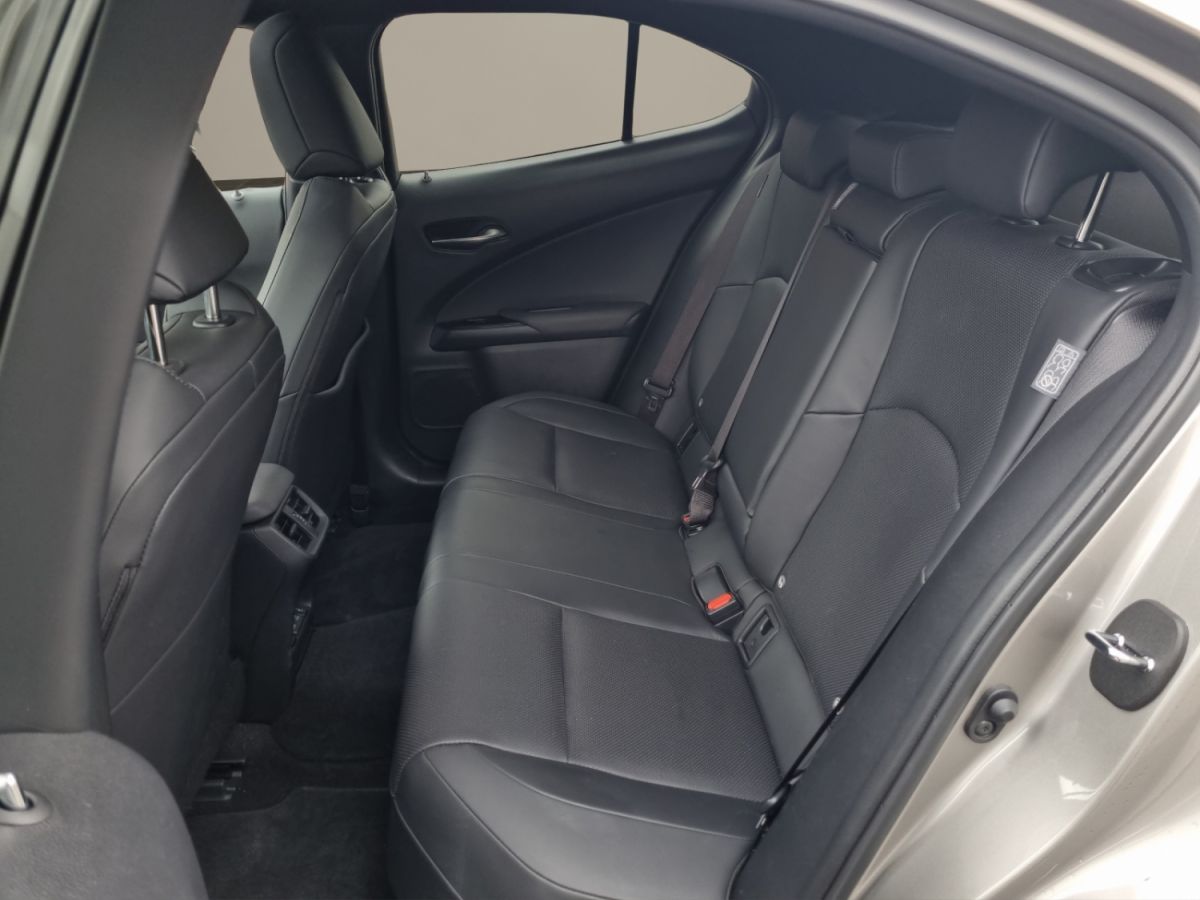 LEXUS UX 300e excellence elektrisch-image-10