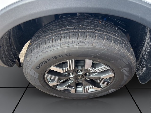 Image FORD RANGER Ranger Wildtrak 2.3 Eco Boost e-4WD Automat