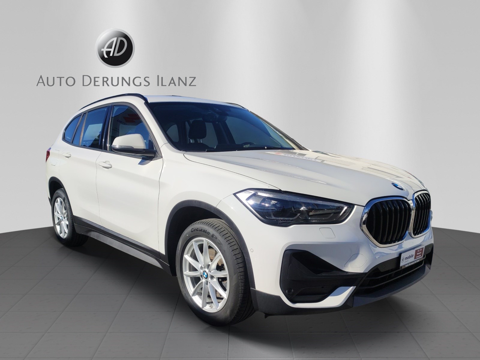 BMW X1 xDrive 18d (SUV / Gelndewagen)