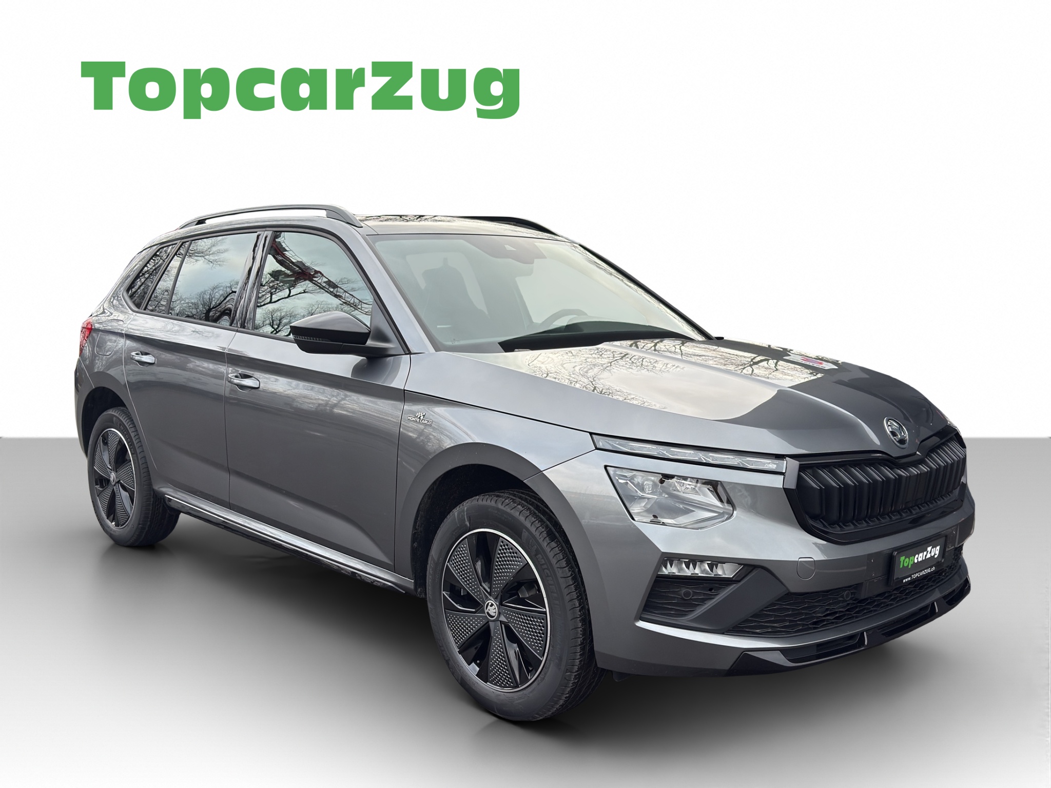 SKODA Karoq 1.0 (SUV / GelÃ¤ndewagen)