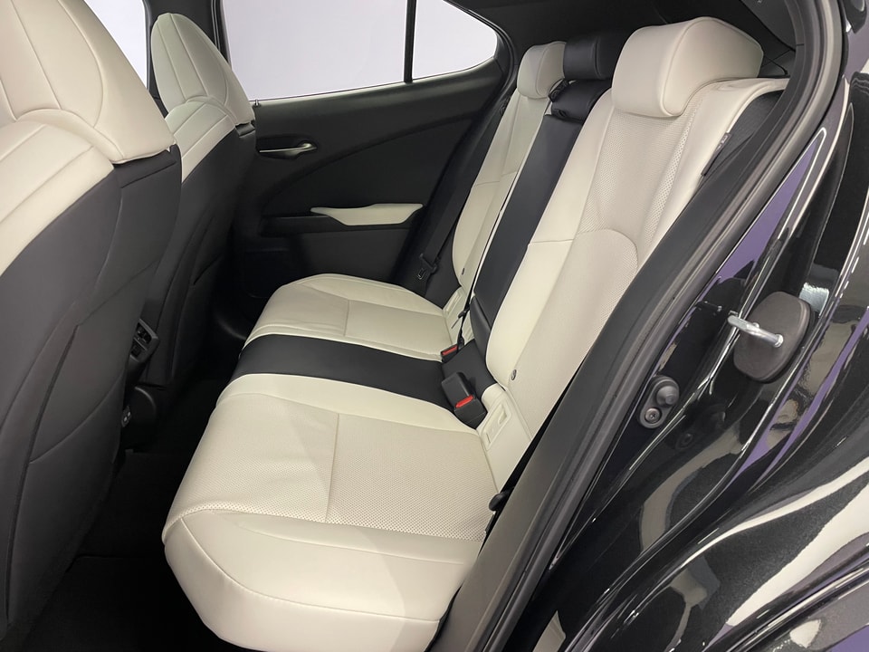 UX 300h F Sport E-FOUR Voll-Hybrid