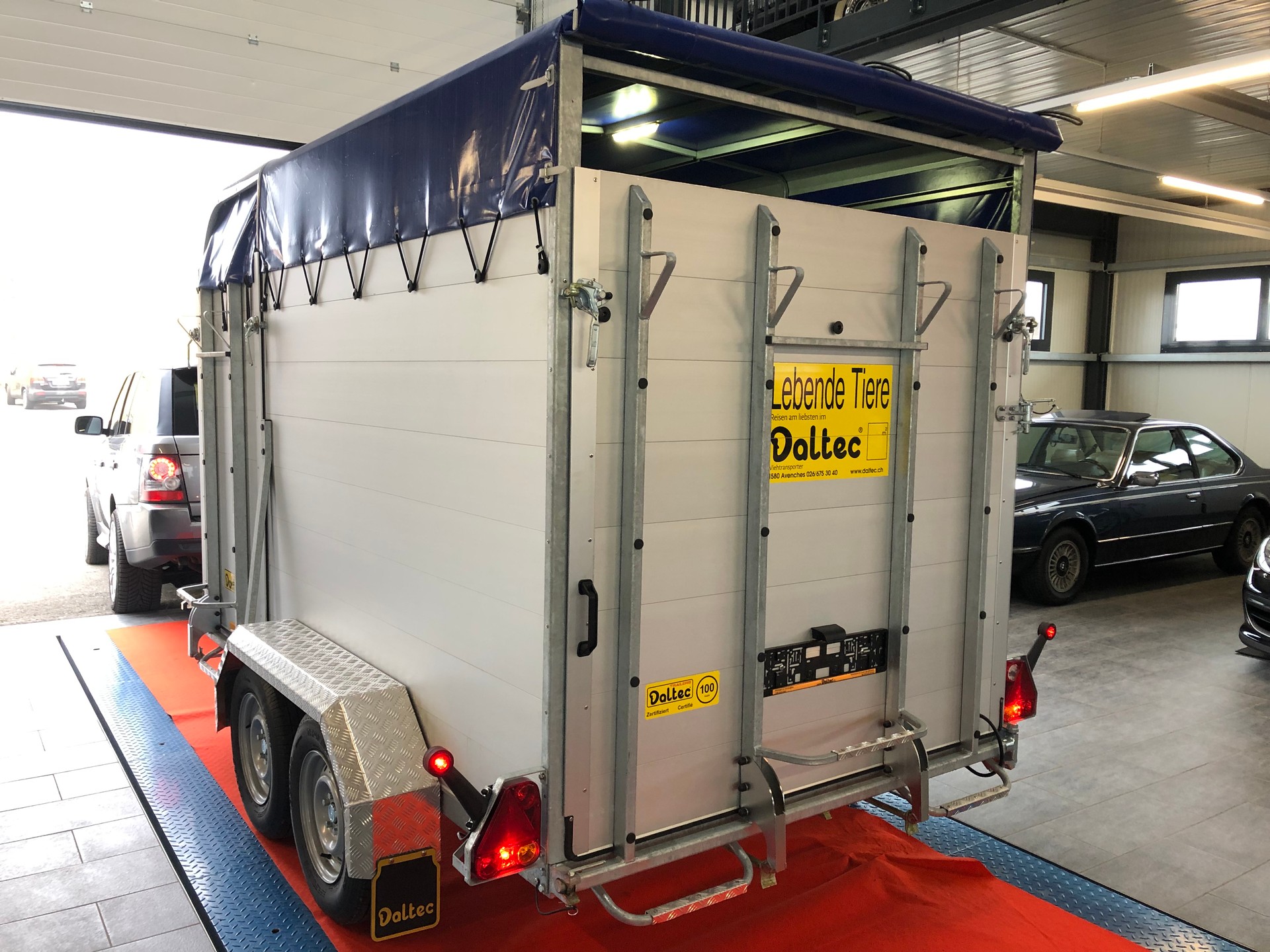 DALTEC NIEWIADOW VT 2500 D Poly-showroom-element-3