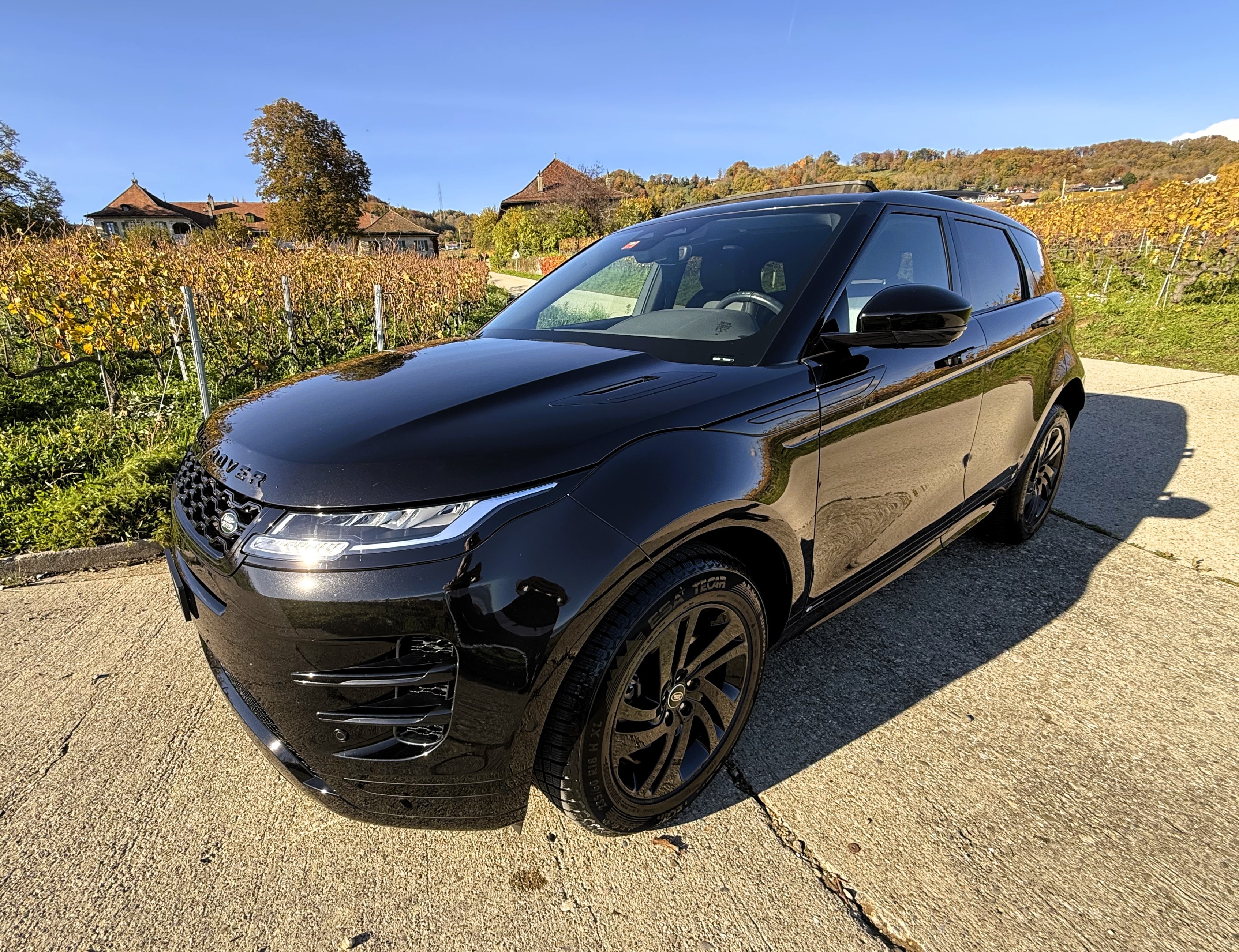 LAND ROVER Range Rover Evoque R-Dynamic (SUV / GelÃ¤ndewagen)