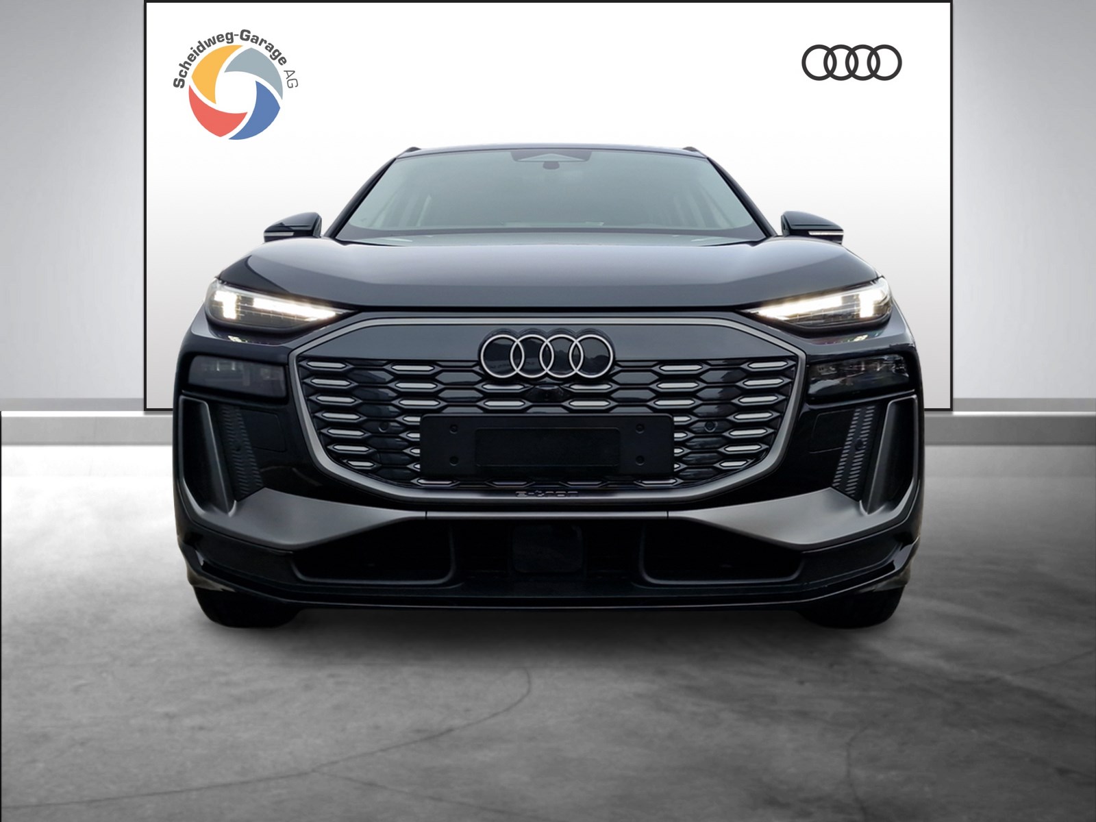 AUDI Q6 e-tron performance-showroom-element-1