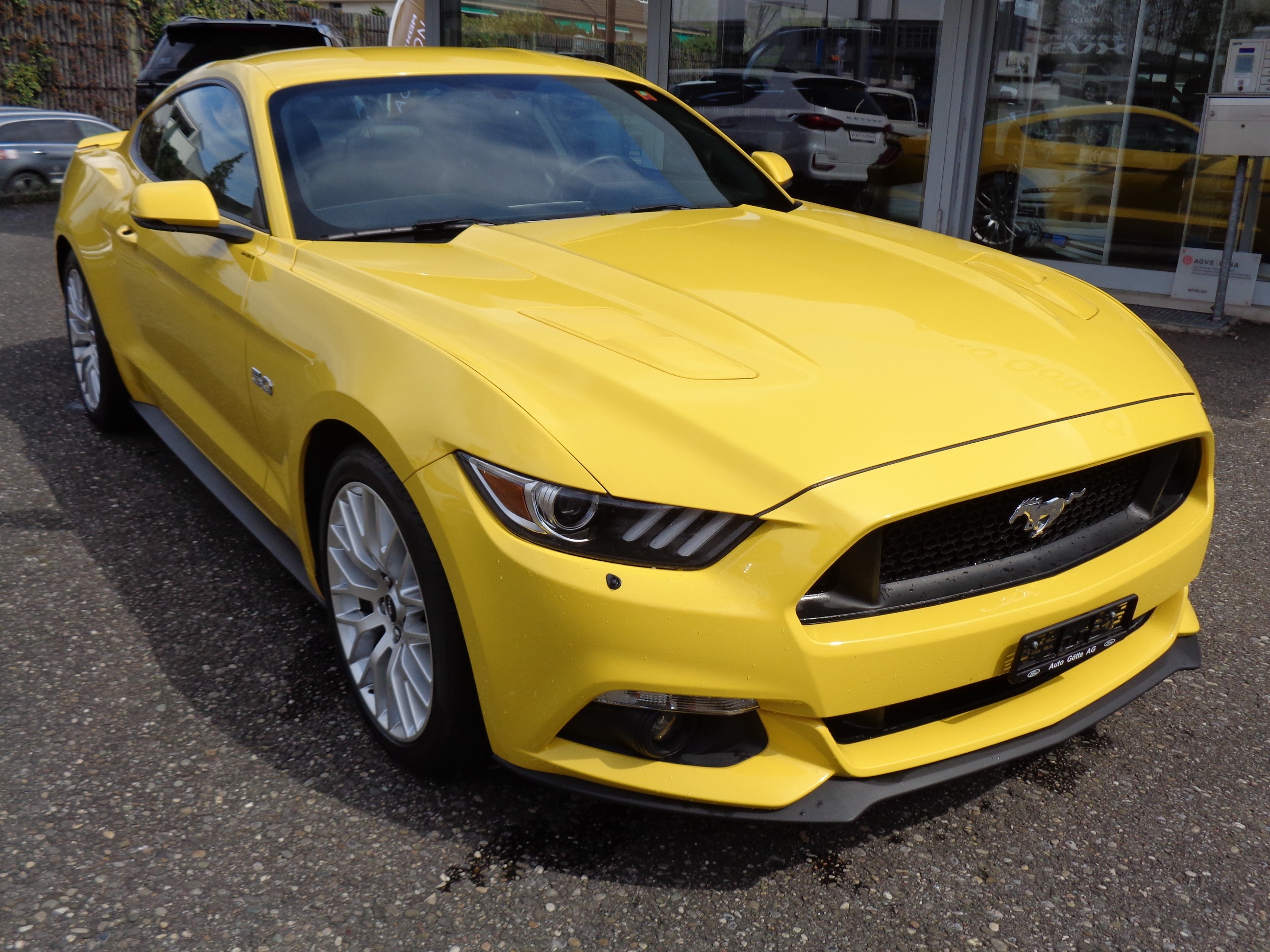 FORD Mustang GT (CoupÃ©)