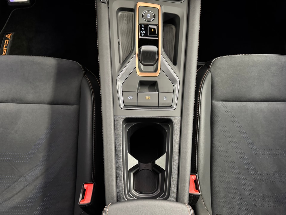 Leon 2.0 TSI 300 VZ DSG