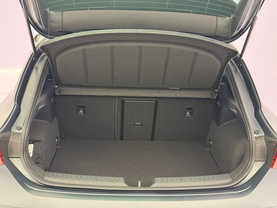 Leon 2.0 TSI 300 VZ DSG