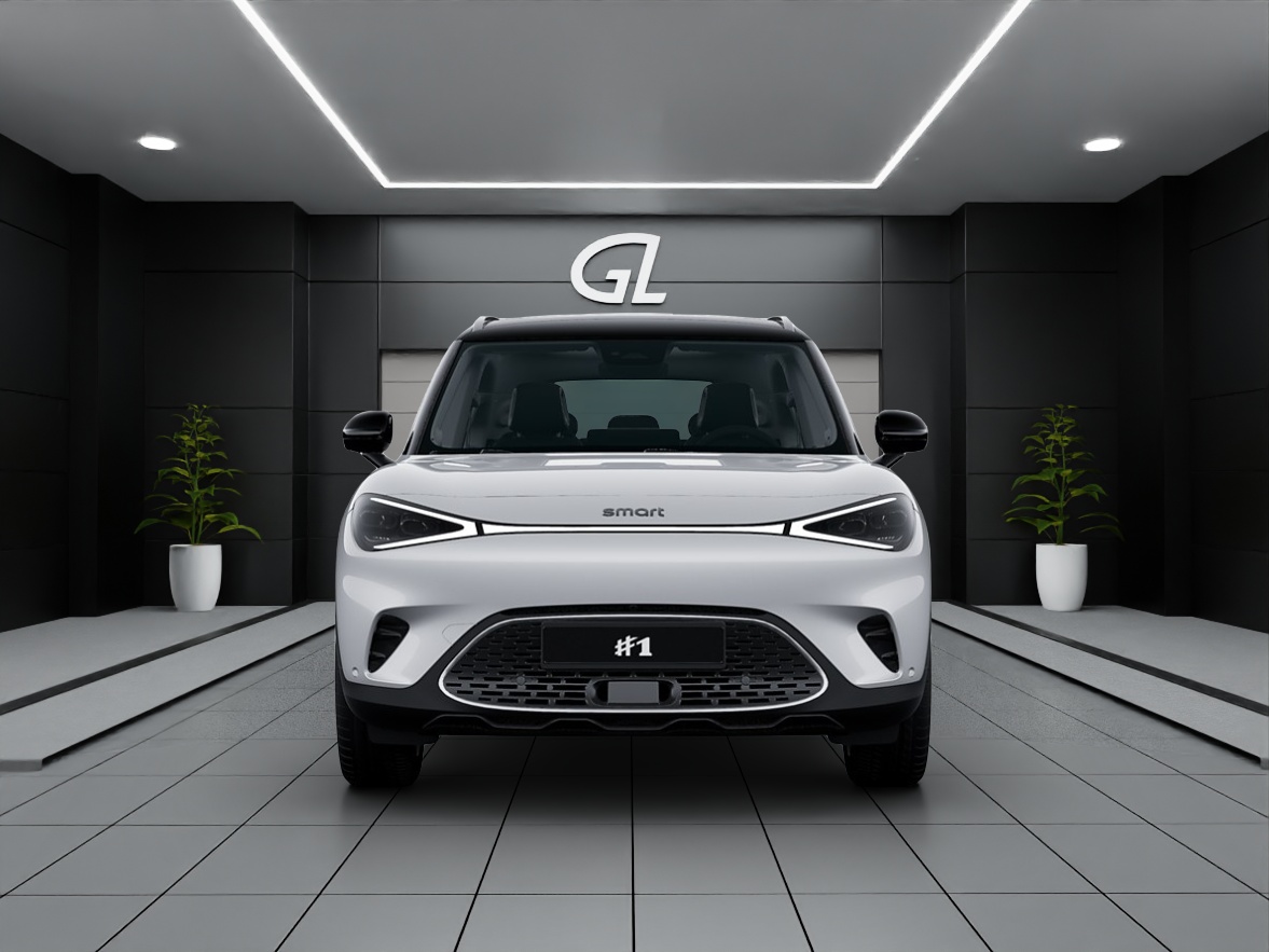 Image SMART 1 #1 66kWh Premium