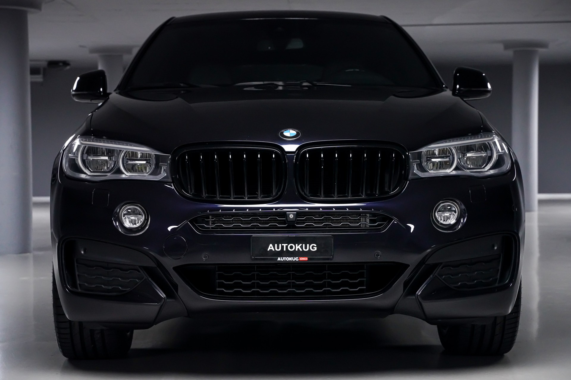 BMW X6 xDrive 40d Steptronic-showroom-element-1
