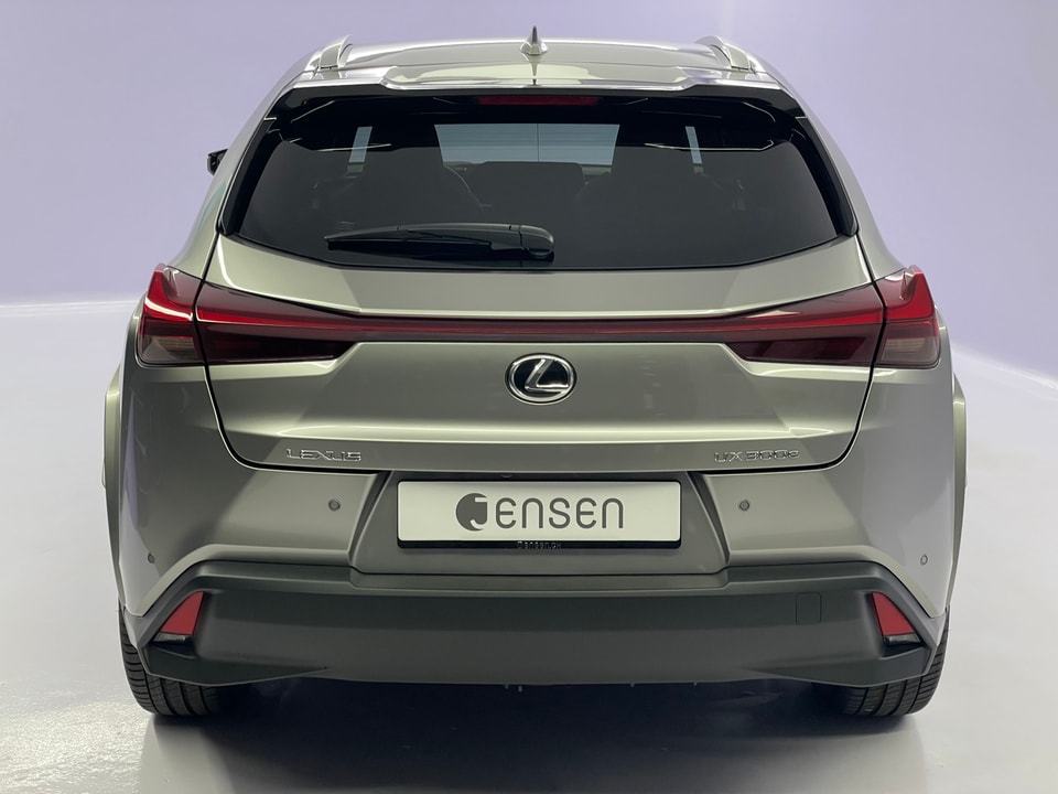 UX 300e Excellence Electric