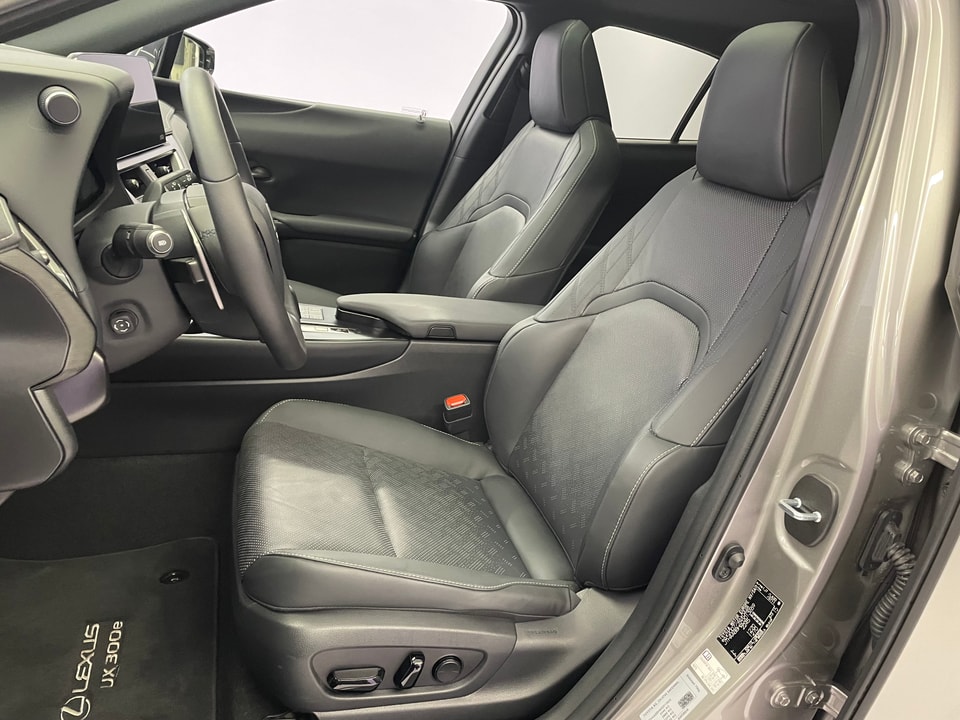 UX 300e Excellence Electric