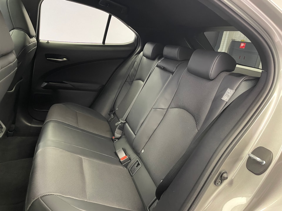 UX 300e Excellence Electric