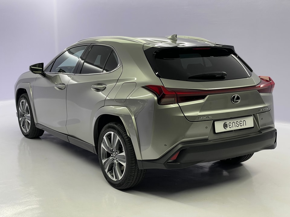 UX 300e Excellence Electric