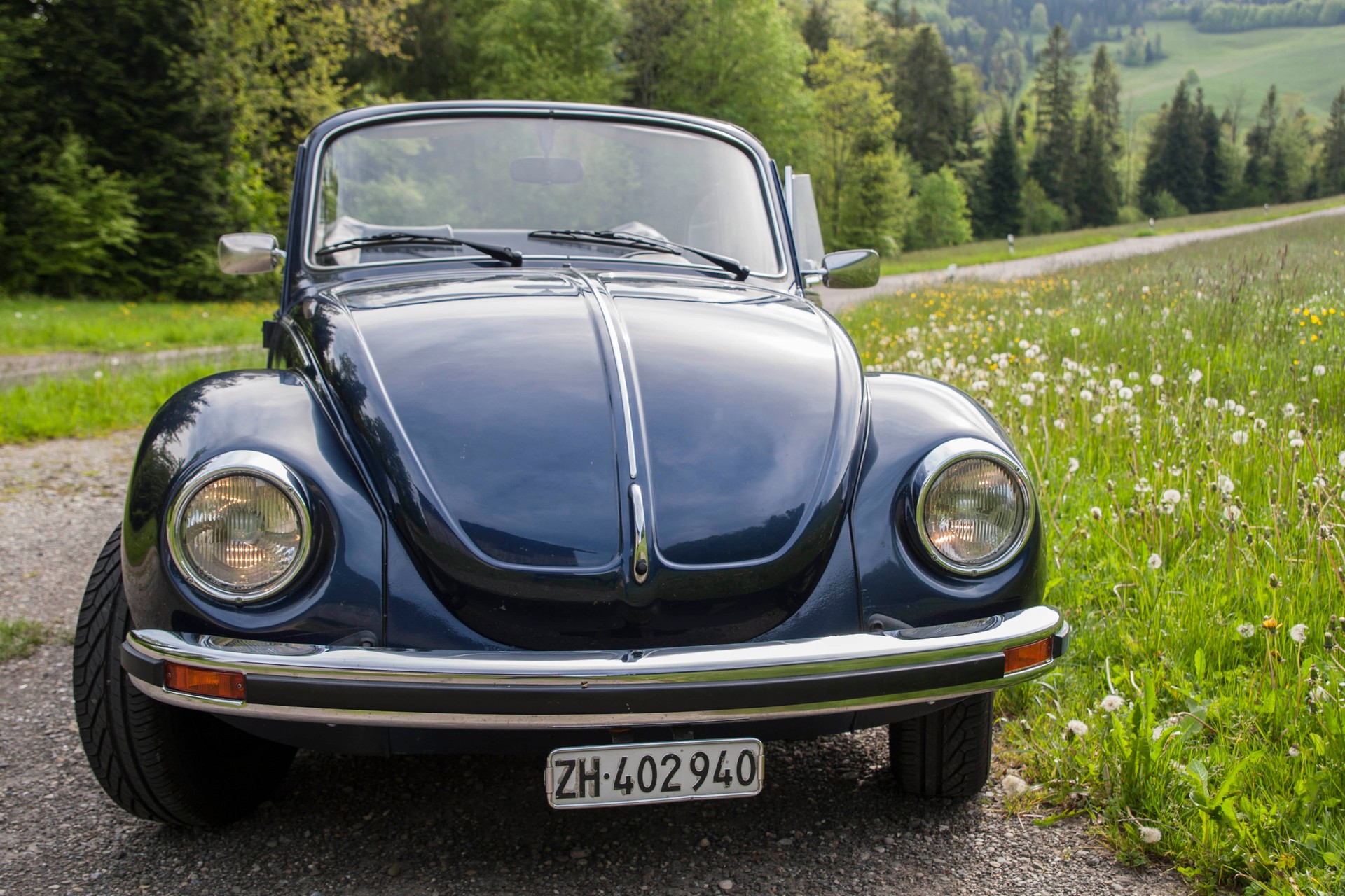 VW Käfer-image-0