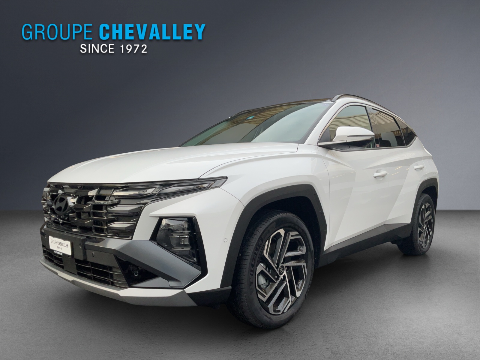 Photo HYUNDAI TUCSON Tucson 1.6 TGDI HEV Vertex 4WD