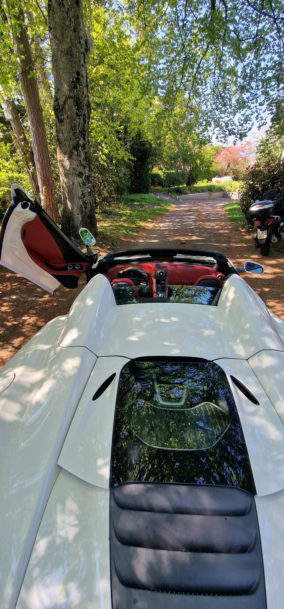 McLAREN MP4-12C Spider 3.8 V8 SSG-image-5