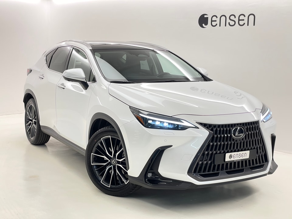 NX 350h Excellence E-FOUR Voll-Hybrid