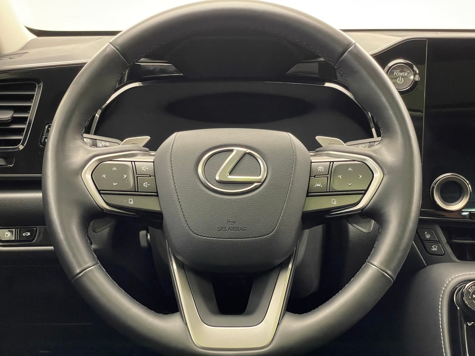 NX 350h Excellence E-FOUR Voll-Hybrid