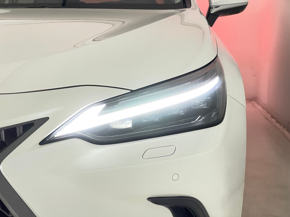 NX 350h Excellence E-FOUR Voll-Hybrid