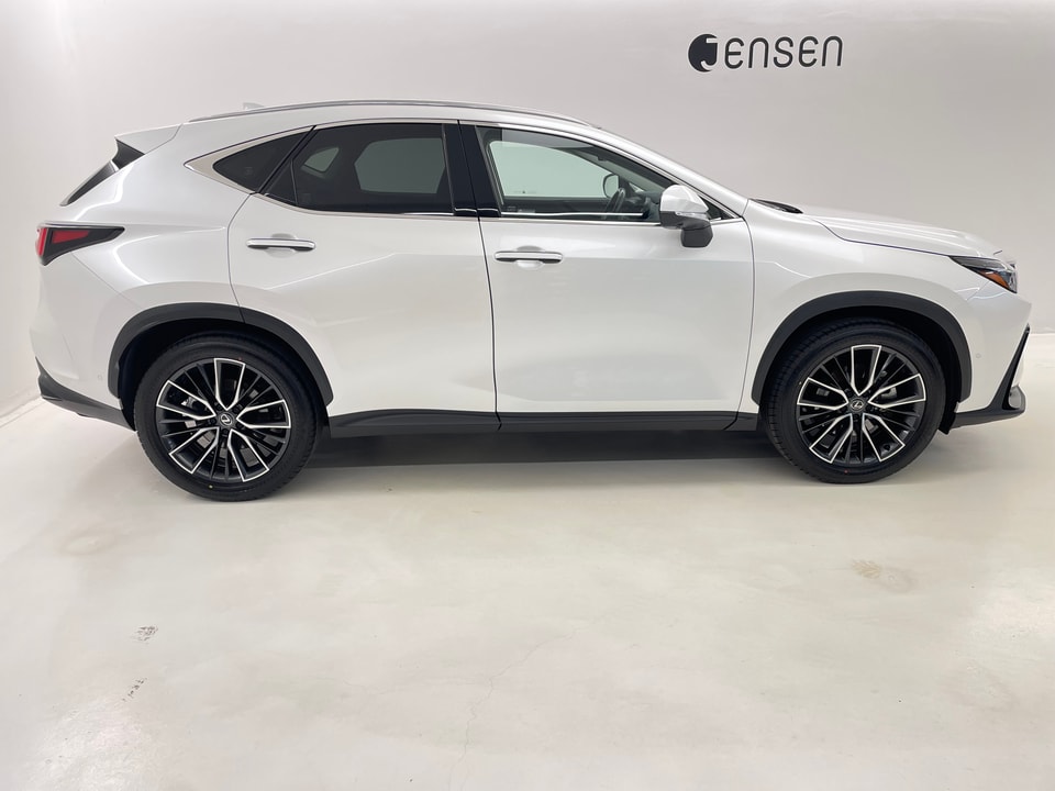 NX 350h Excellence E-FOUR Voll-Hybrid