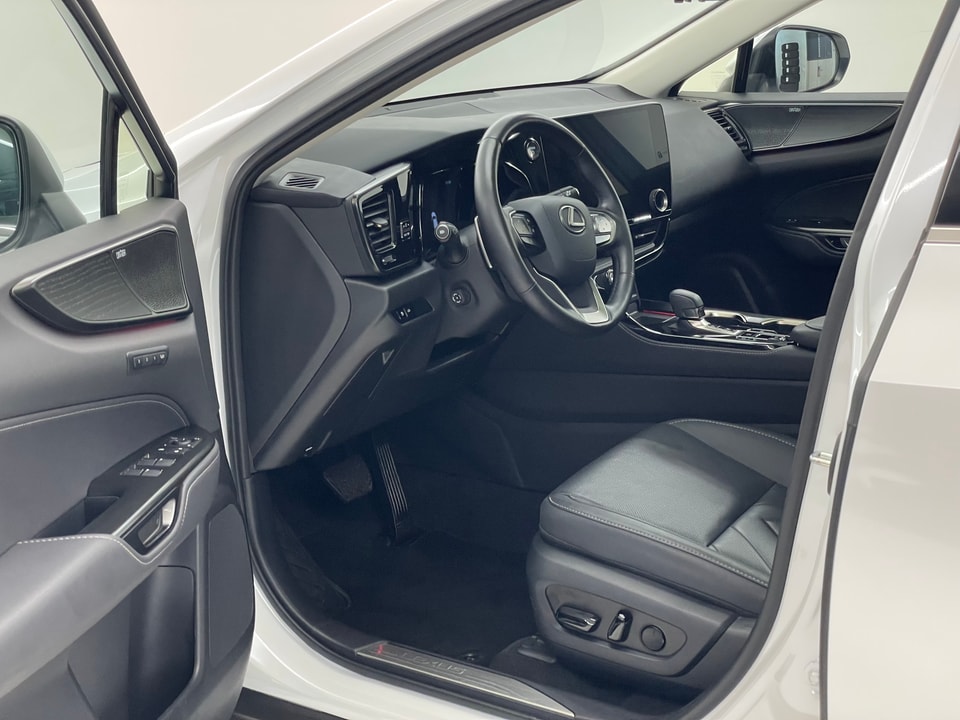 NX 350h Excellence E-FOUR Voll-Hybrid