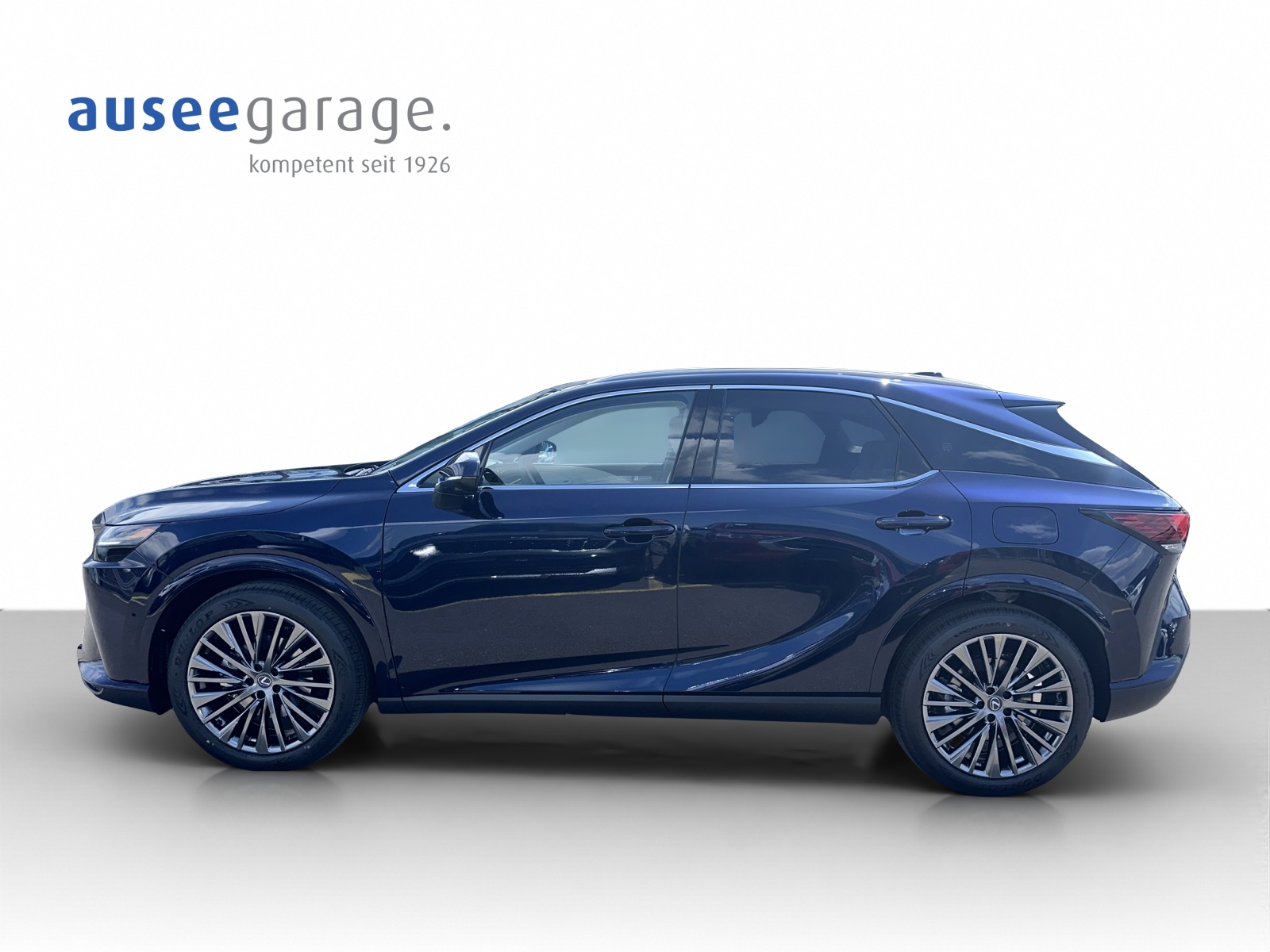 LEXUS 450h+ Excellence-showroom-element-2