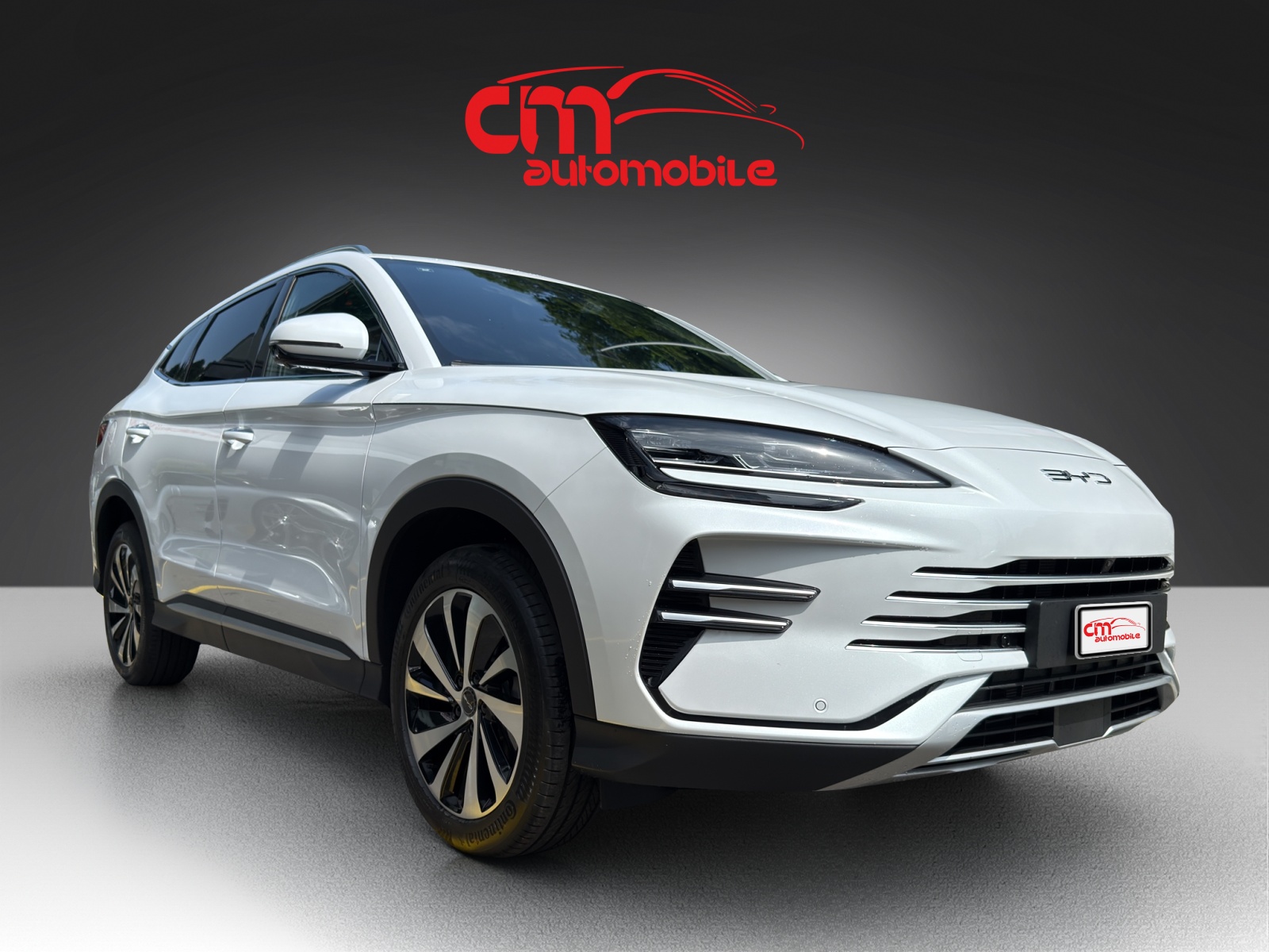 BYD Seal U DM-i Comfort-showroom-element-3