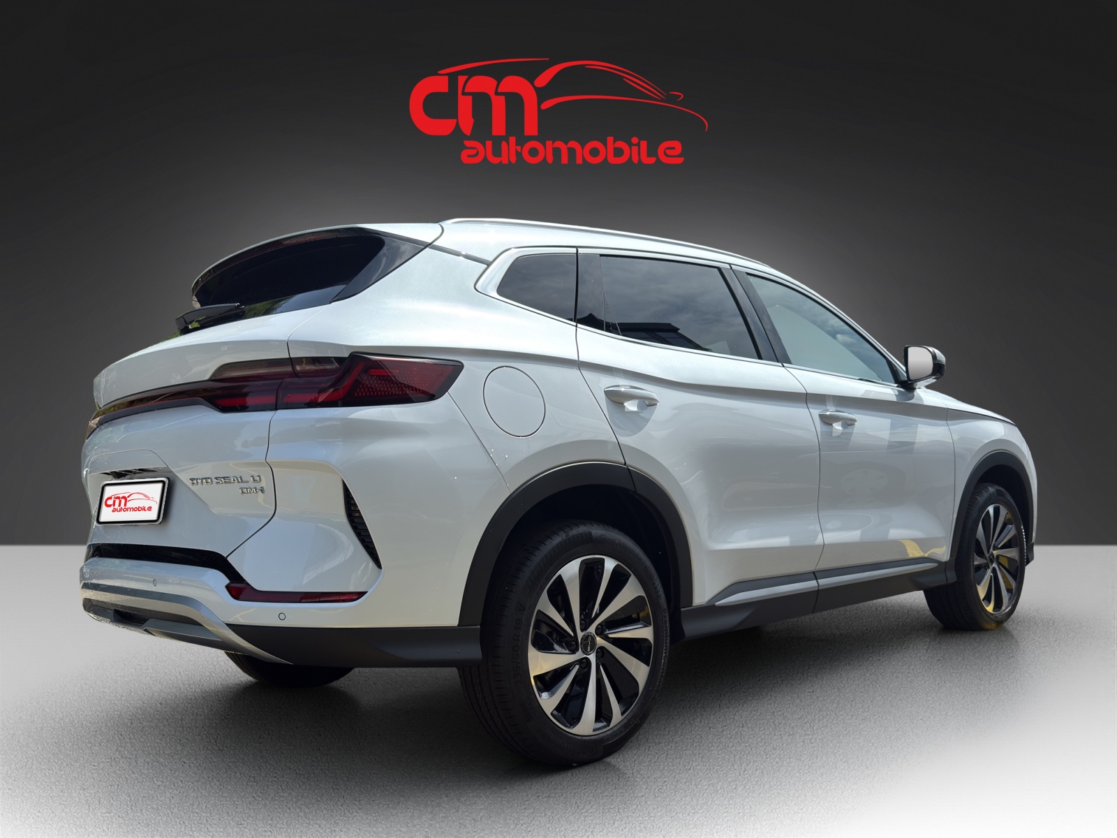 BYD Seal U DM-i Comfort-showroom-element-2