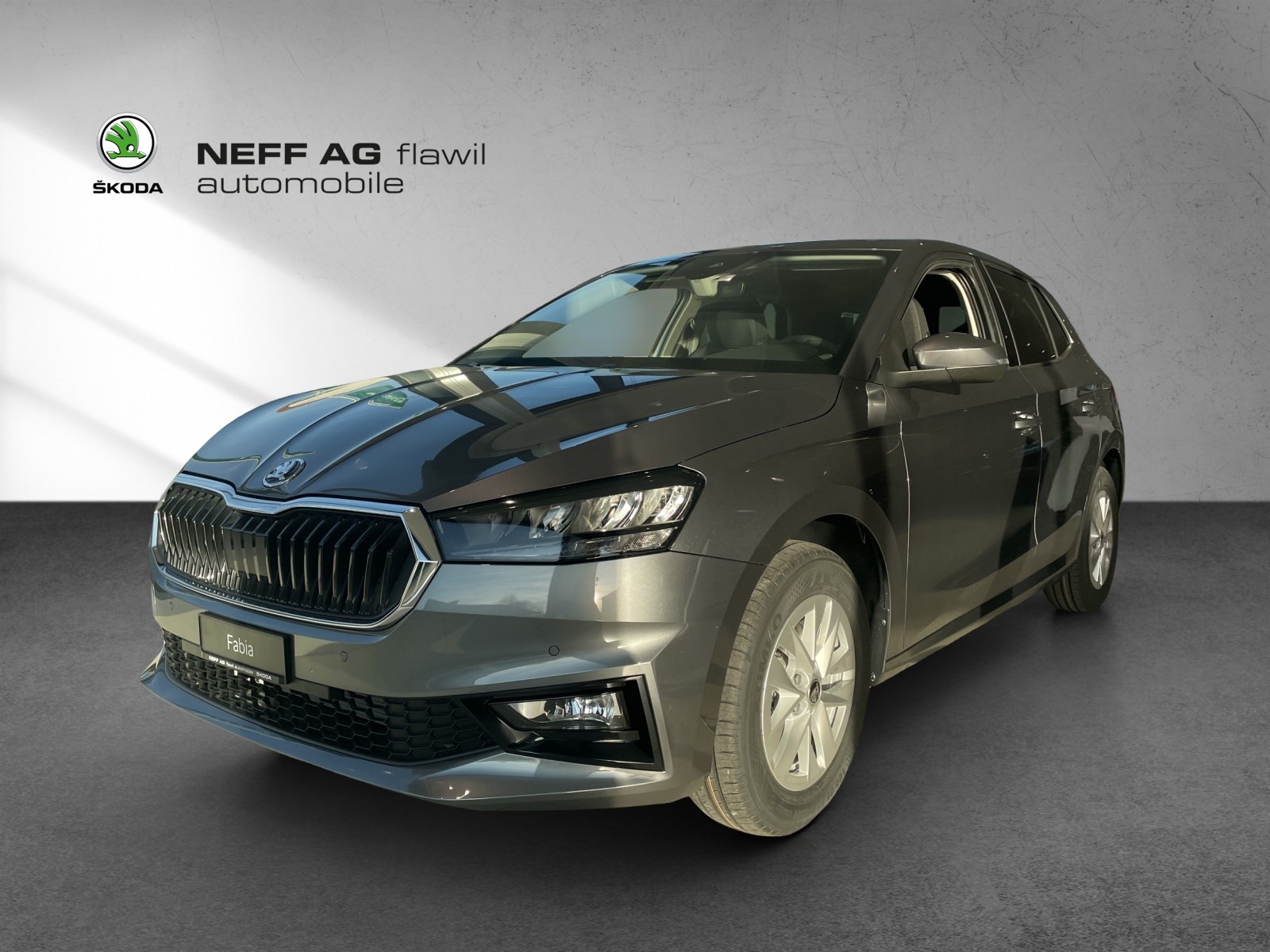 SKODA Fabia 1.0 (Kleinwagen)
