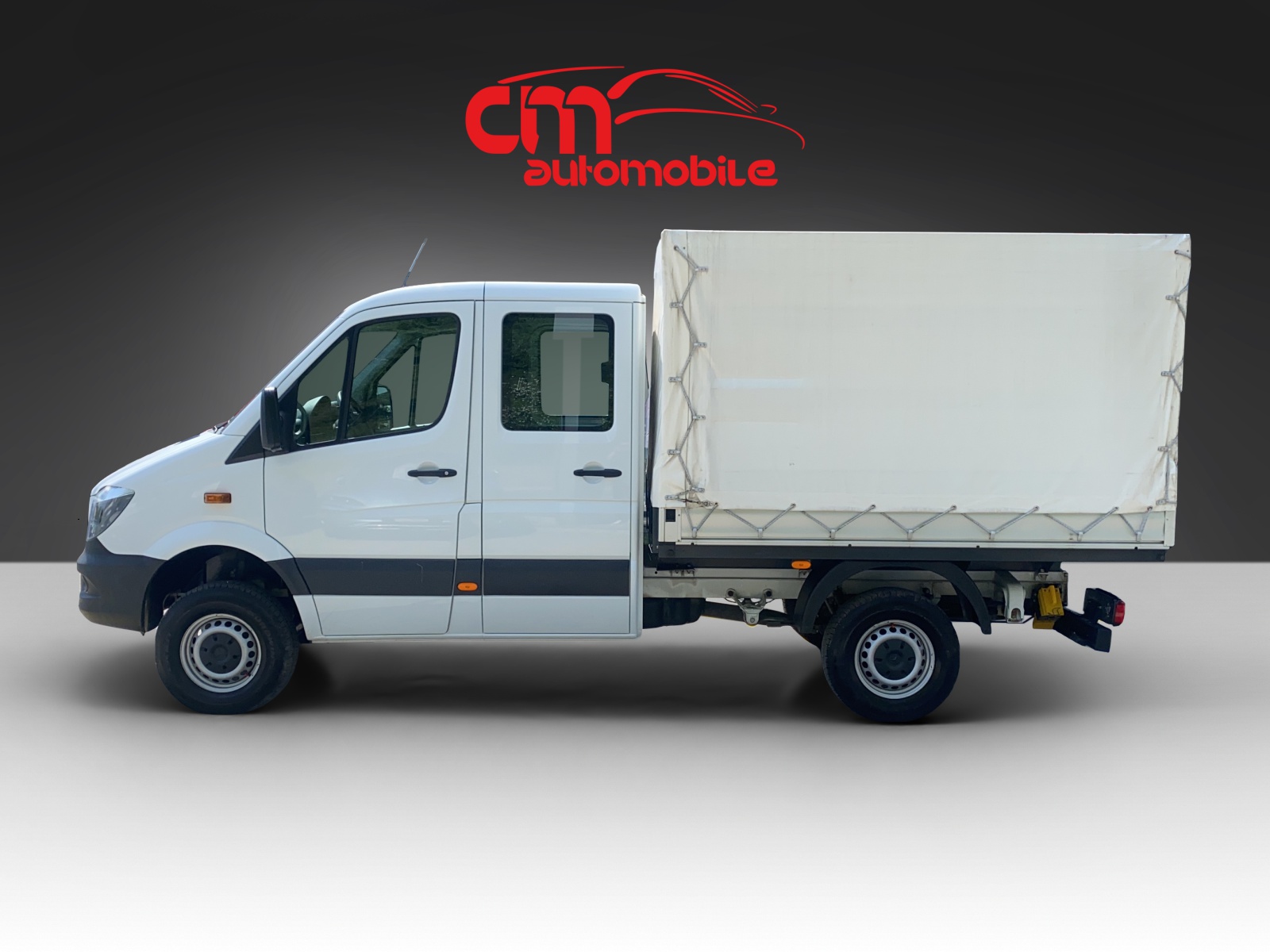 MERCEDES-BENZ Sprinter 316 CDI Doppelkabine 4x4 Allrad-image-5