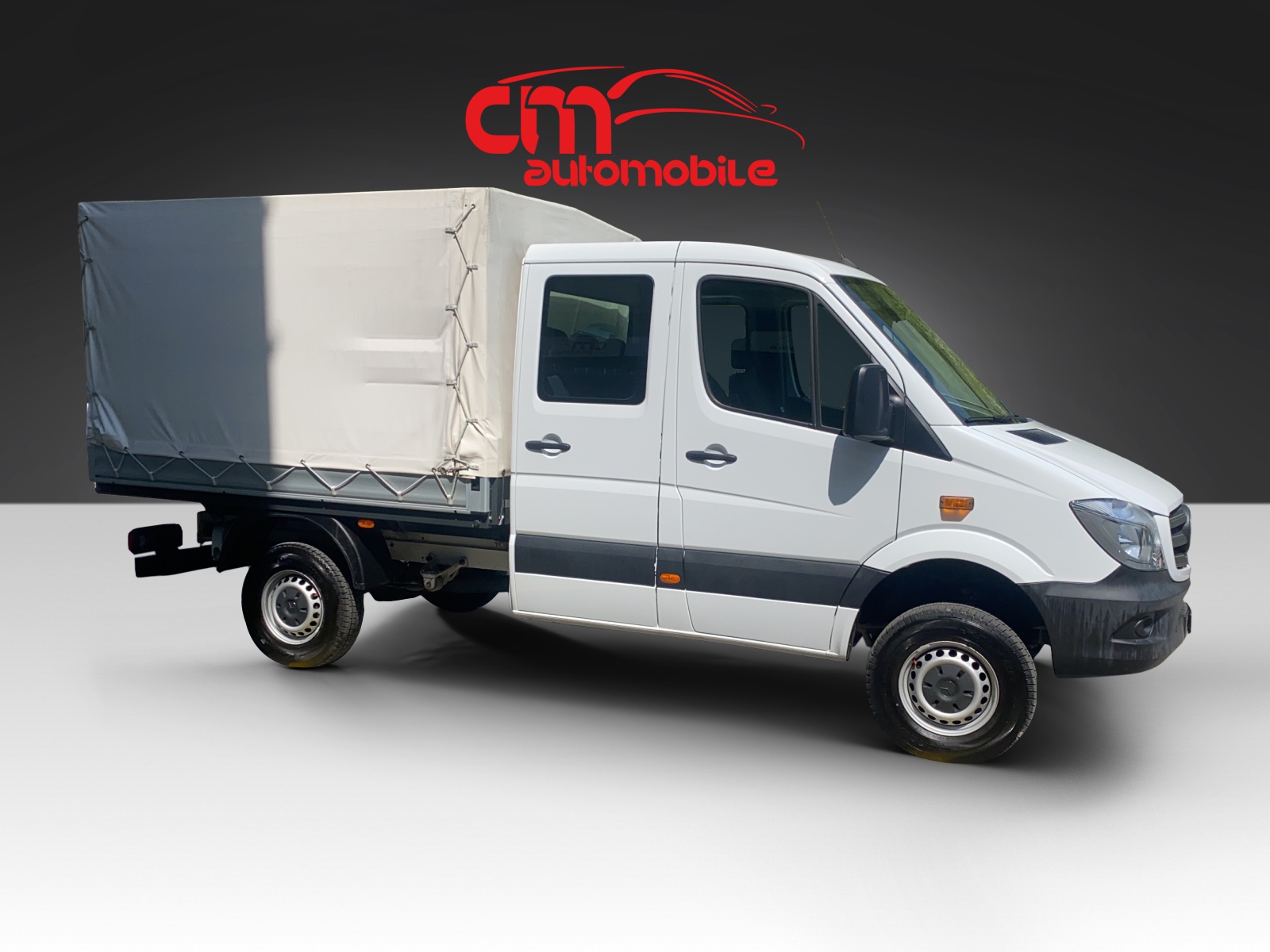 MERCEDES-BENZ Sprinter 316 CDI Doppelkabine 4x4 Allrad-image-4