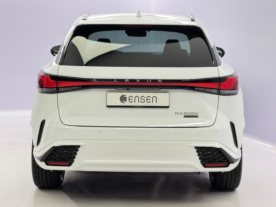 RX 500h F Sport Direct4 Performance-Voll-Hybrid