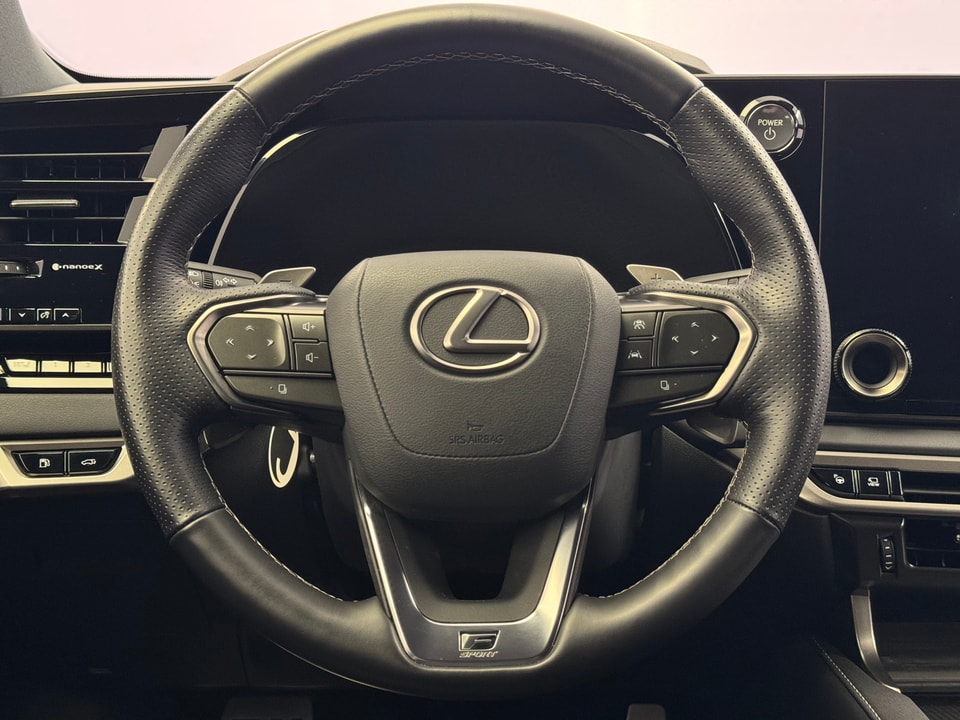 RX 500h F Sport Direct4 Performance-Voll-Hybrid