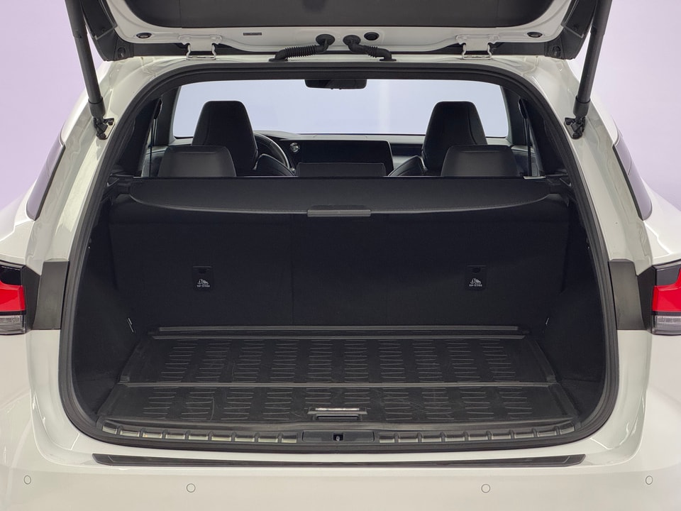 RX 500h F Sport Direct4 Performance-Voll-Hybrid