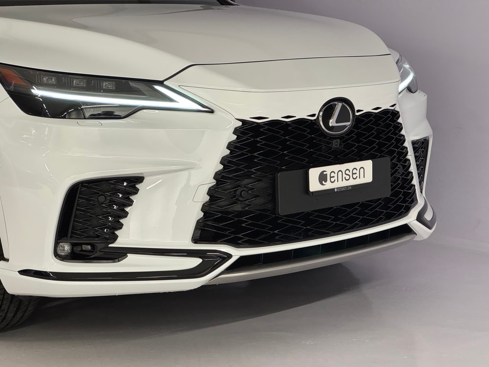 RX 500h F Sport Direct4 Performance-Voll-Hybrid