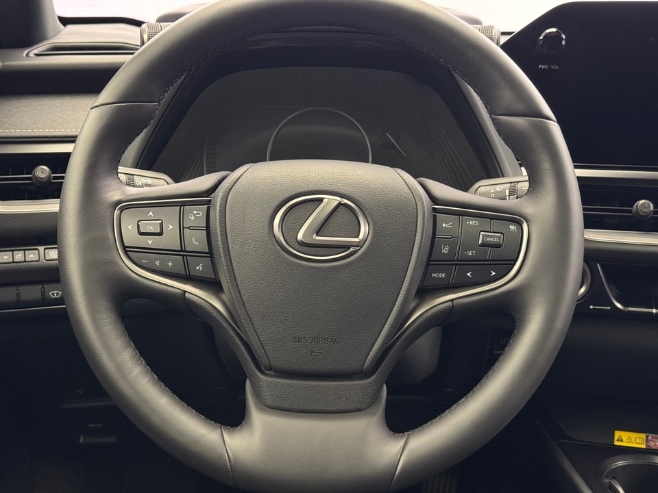 UX 250h Comfort E-FOUR Voll-Hybrid