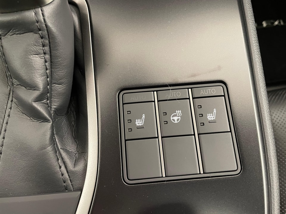 UX 250h Comfort E-FOUR Voll-Hybrid