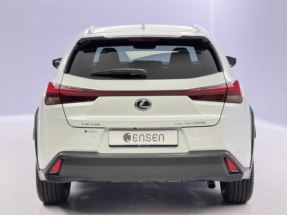 UX 250h Comfort E-FOUR Voll-Hybrid