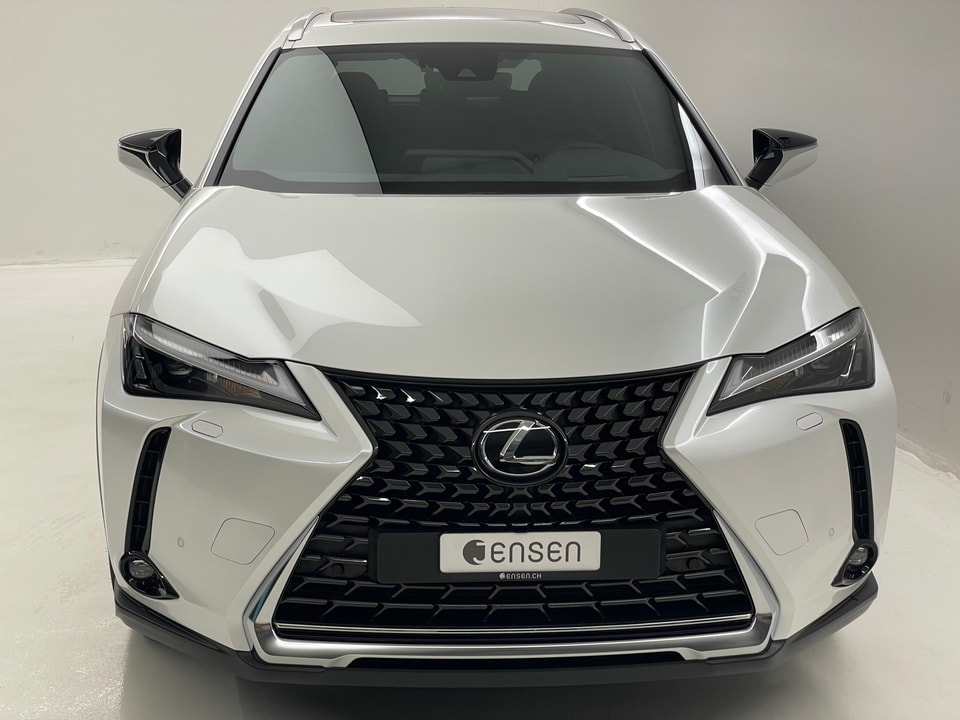 UX 250h Comfort E-FOUR Voll-Hybrid