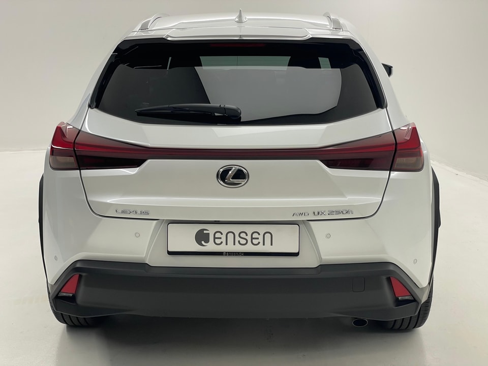 UX 250h Comfort E-FOUR Voll-Hybrid