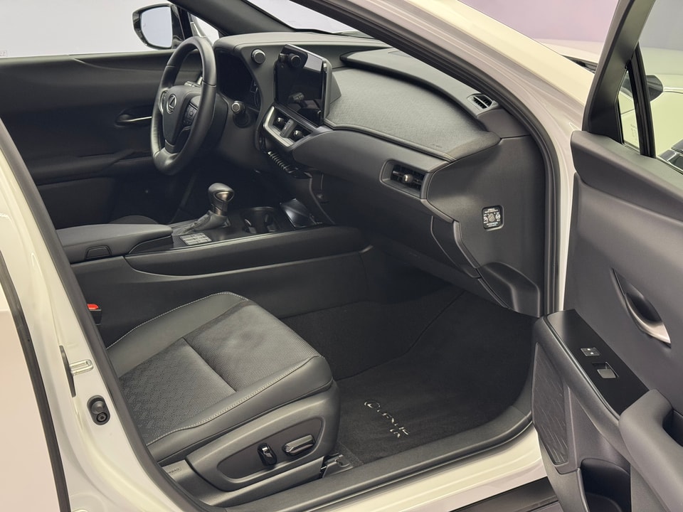 UX 250h Comfort E-FOUR Voll-Hybrid